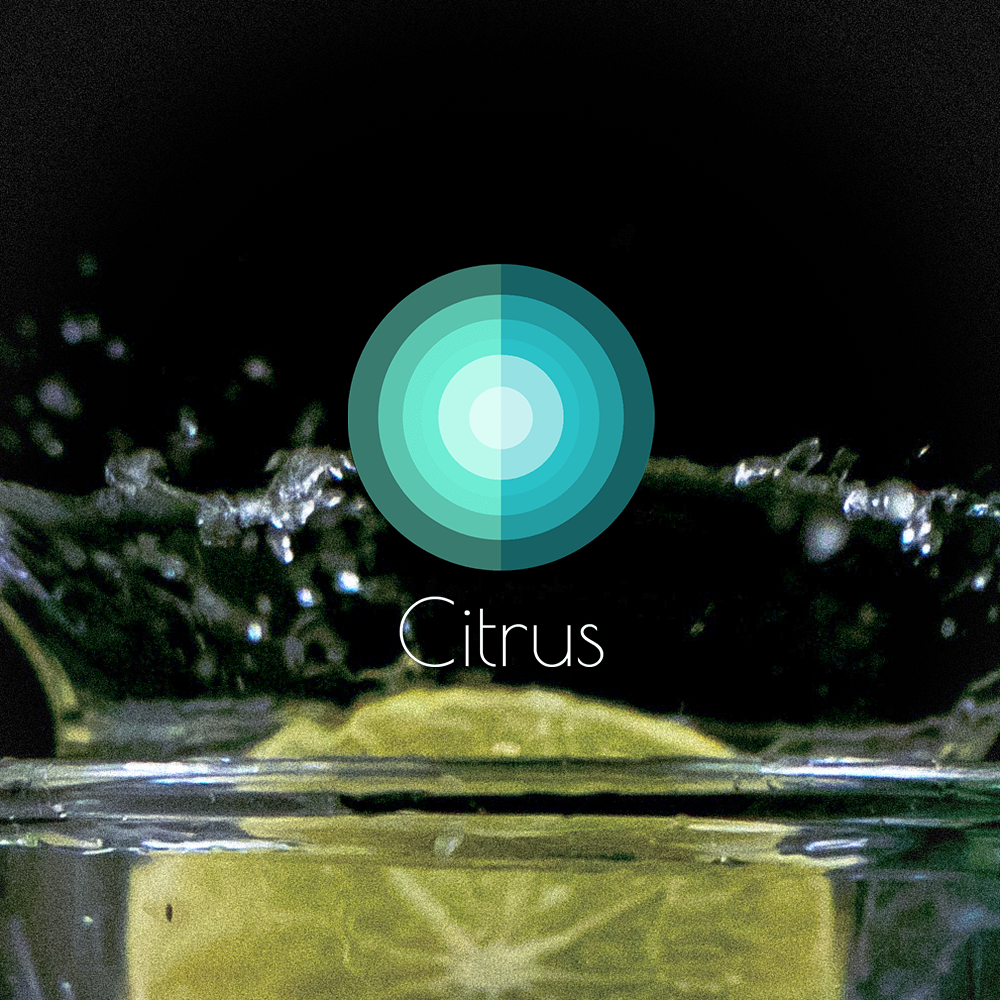 [SoundsGood]Citrus(シトラス)